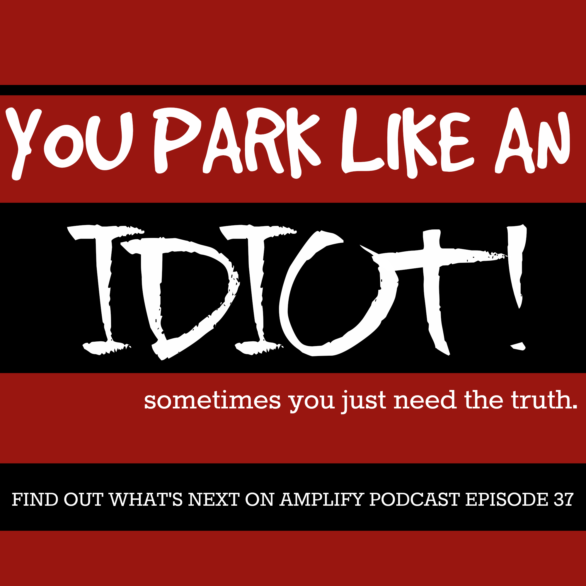 Read more about the article You Park Like an Idiot