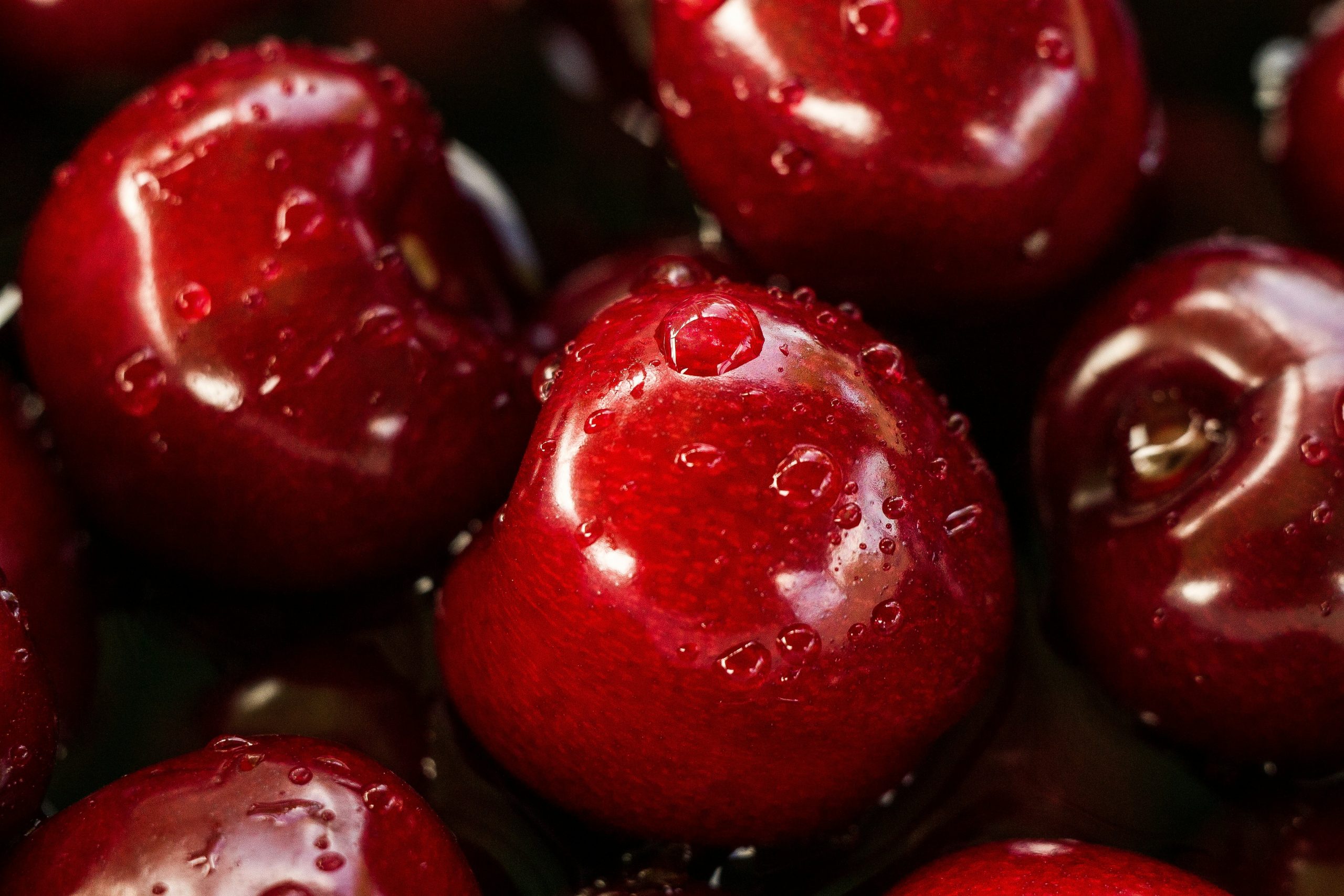 origin-of-bing-cherries