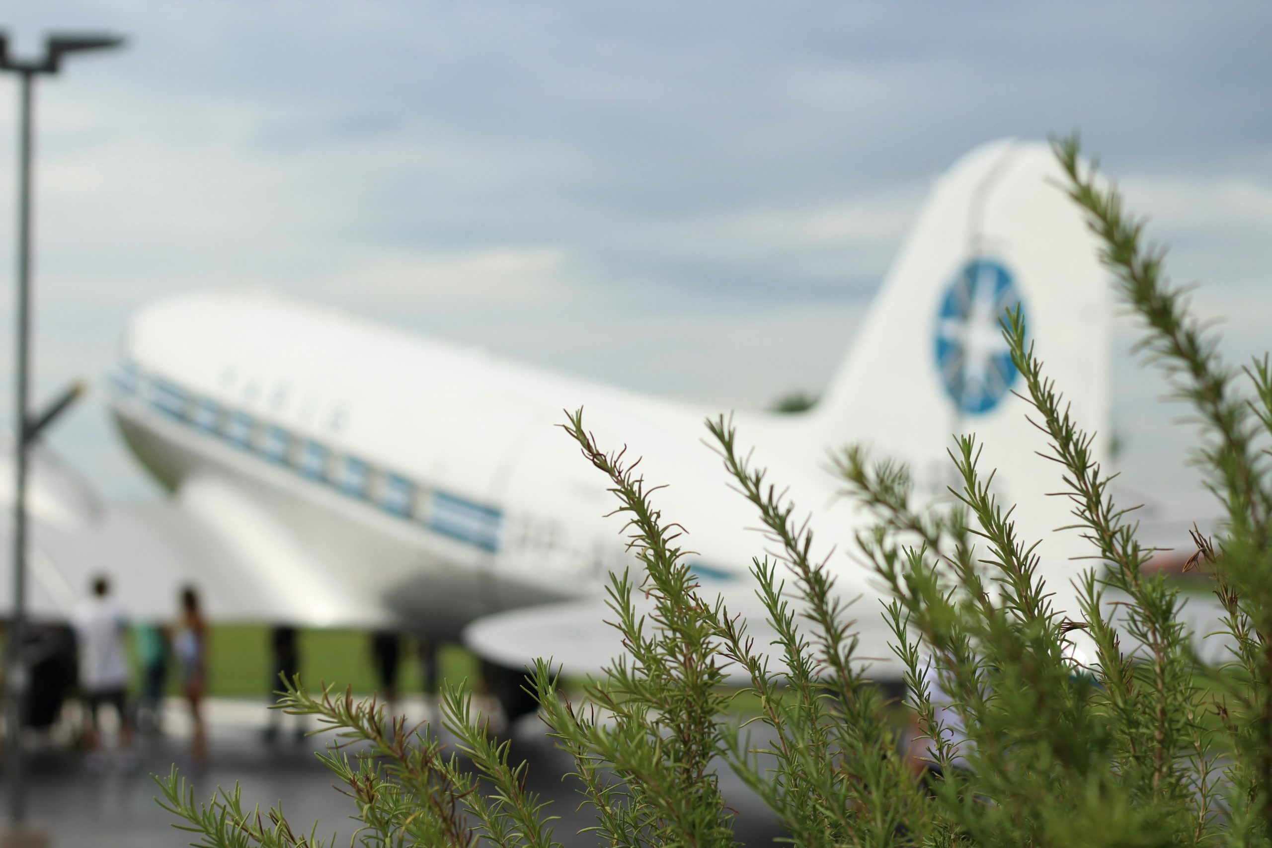 origin-of-pan-am