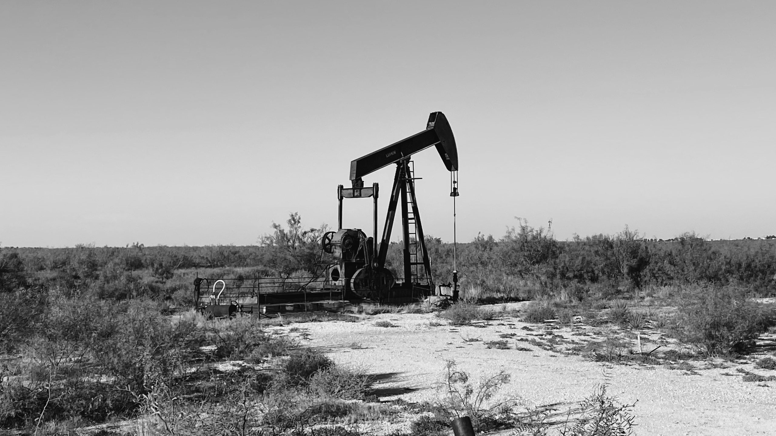 east-texas-wildcatters