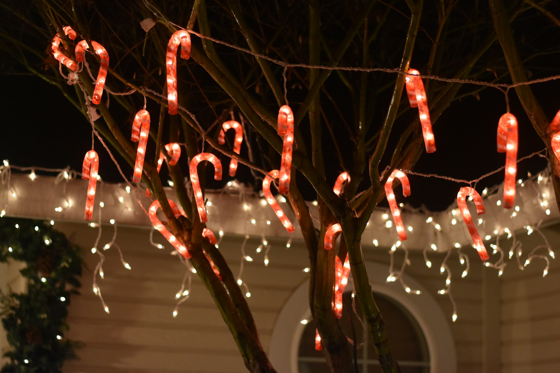 origin-of-candy-canes